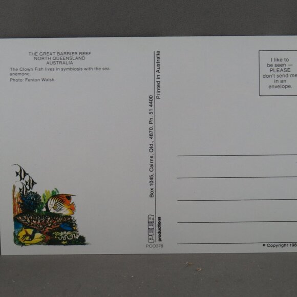 Vintage Postcard - Clownfish in an Anemone Great Barrier Reef - Peer Productions - Picture 3 of 4